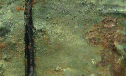 Giordano Vaquero a la BCM Art Gallery