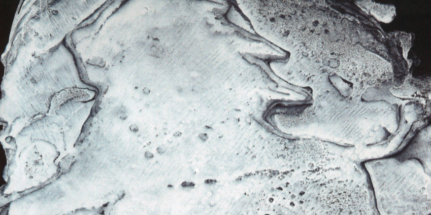 ARCOmadrid: El Museu Reina Sofia compra obra per valor 300.000 euros 