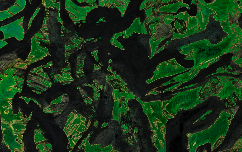 Mon Montoya al Museu d\'Art Contemporani Esteban Vicente