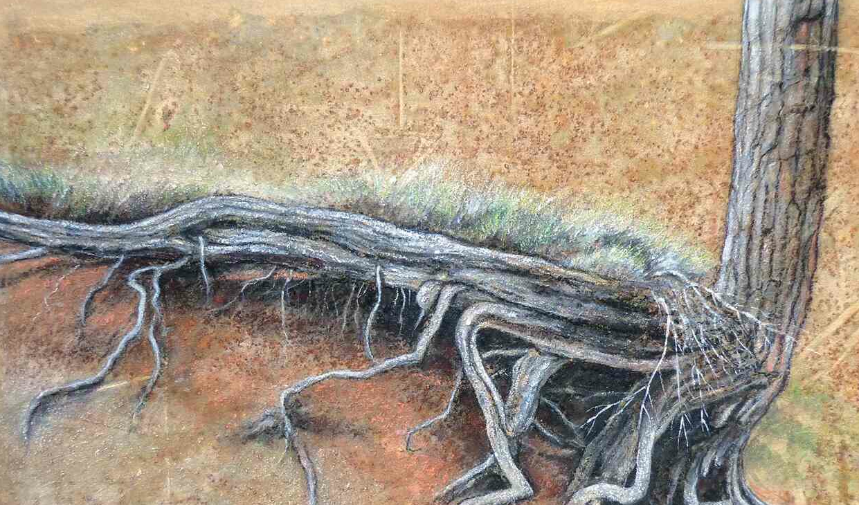 Carles Abad interpreta el paisatge de la Tinença de Benifassà a Pictograma 