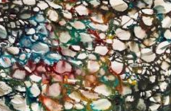 Dolors García Cadarso a Can Laporta