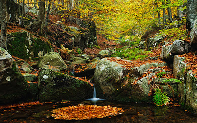 Més de 100 fotografies de natura per cloure el Foto-Montseny 2012