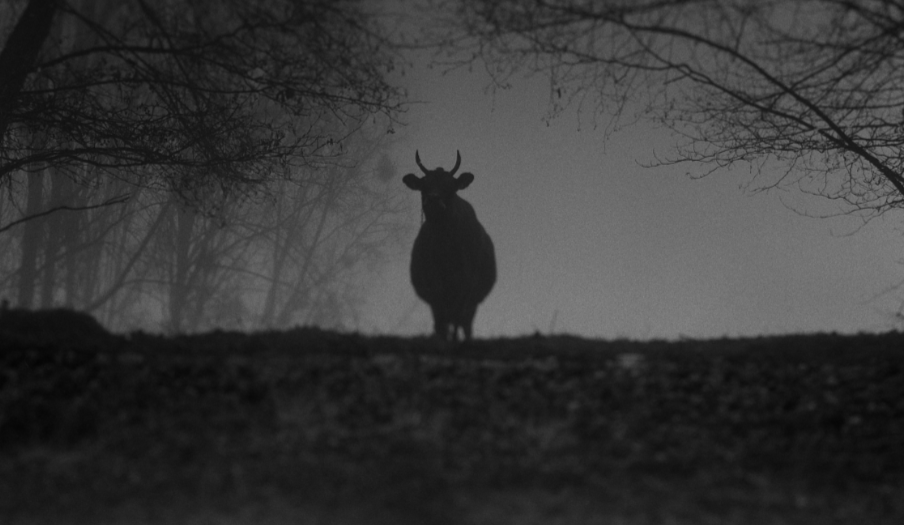 Fotografies d\'Israel Ariño a la Galeria Tagomago