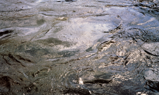 La nord-americana Roni Horn guanya la quarta edició del Premi Joan Miró