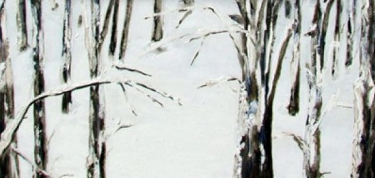 Salomé de Cambra exposarà a Fons d\'Art Olot