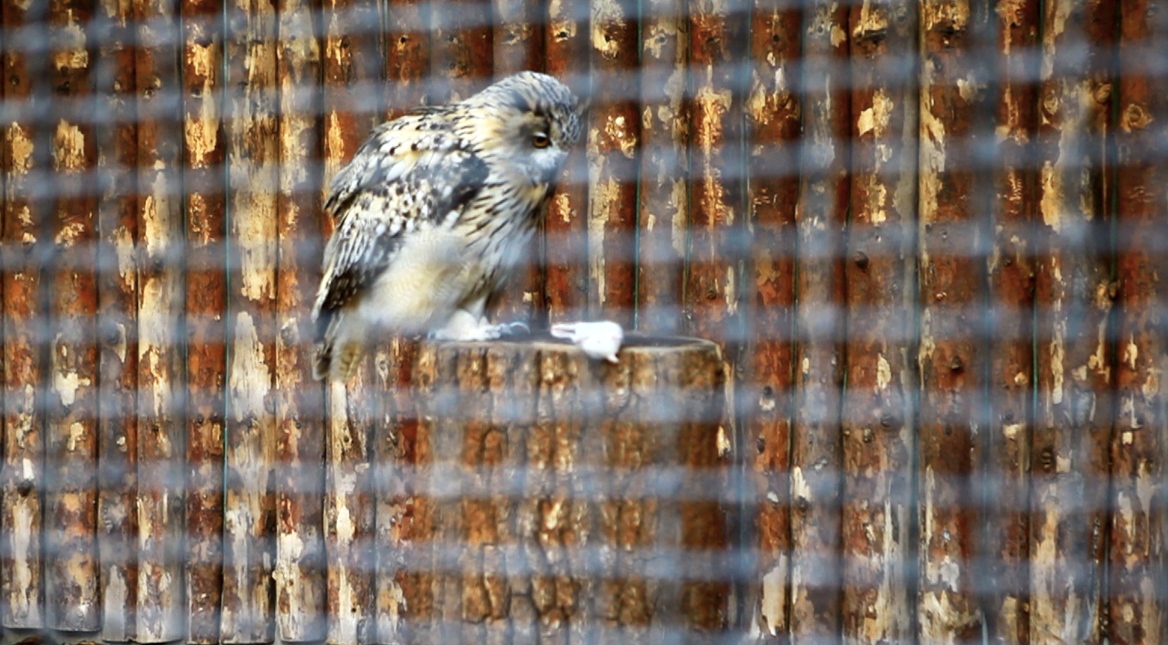 El Museu d\'Art Gas Natural Fenosa (MAC) inaugura “Project Moscow” 