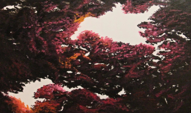 Núria Formenti presenta \