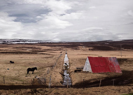 Visita guiada a l\'exposició \