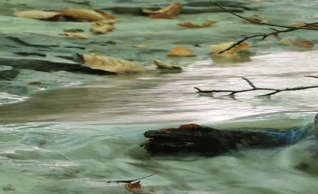 Carmen Boixados i Luca Fancello a la Galeria Sky