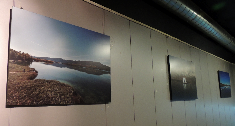 Harold Avellan exposa al Bar del Passeig