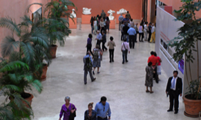 Nou rècord de visitants del Museu Thyssen-Bornemisza: 1.255.281