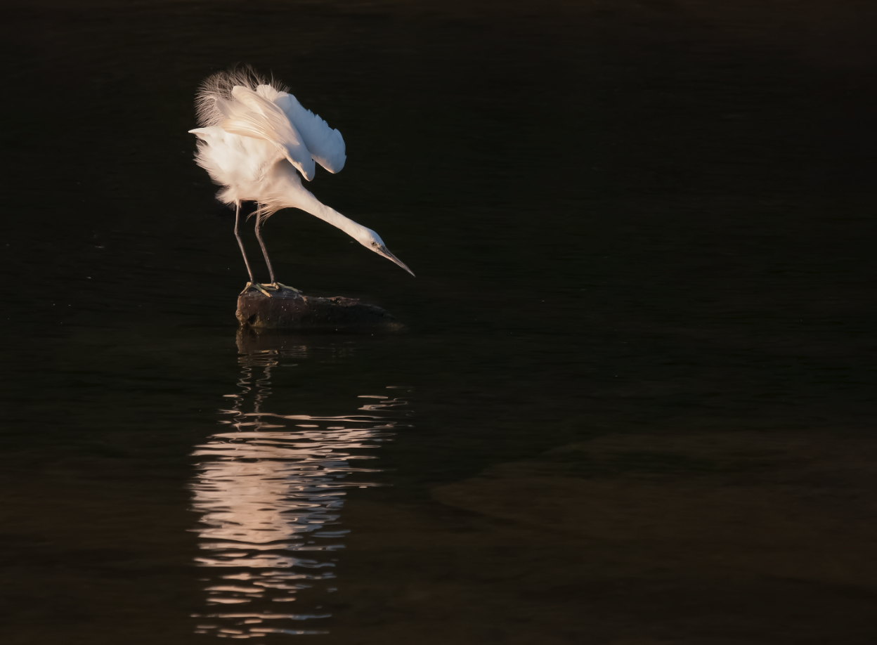 Juanma Orta guanya el Concurs de Fotografia Naturalista