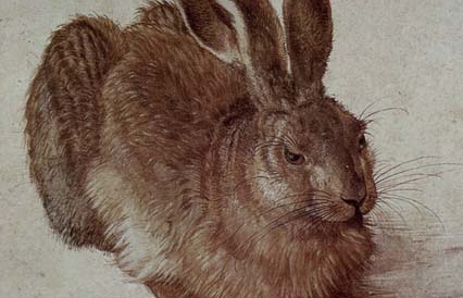 Exposicions de la BNE el 2013