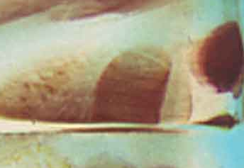 La Capella presenta l’exposició “La condició narrativa”, d’Alexandra Laudo