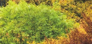 Inauguració de Foto-Montseny 2012