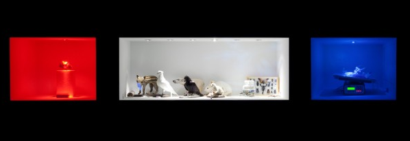 Tuur Van Balen guanya el Concurs Internacional Vida 14.0 de la Fundació Telefónica