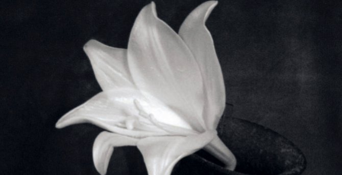 El Museu de la Vida Rural presenta la Nadala de la Fundació Lluís Carulla