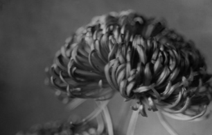 Lola Montserrat a la Casa de Cultura les Bernardes