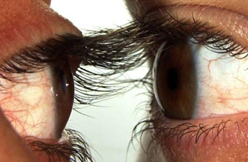 8a Biennal d\'Art Leandre Cristòfol a La Panera