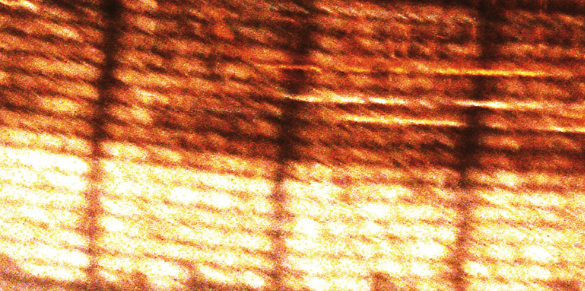 Presentació del catàleg de l\'exposició \