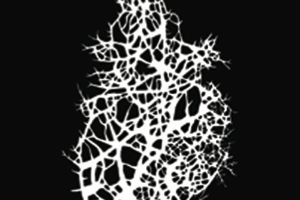 La Galeria Sicart a Art Miami