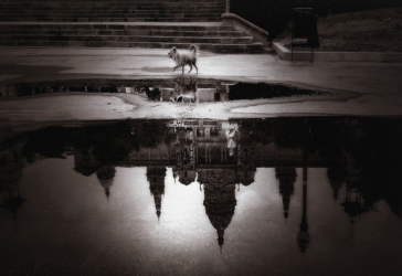 Joan Pastor Villalba guanya el XII Premi Eurostars Grand Marina de fotografia