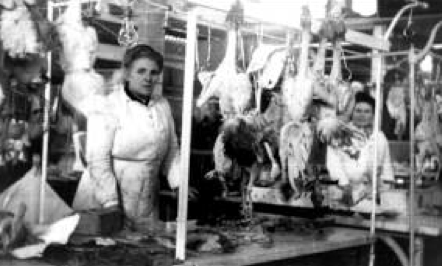 Can Felipa presenta \