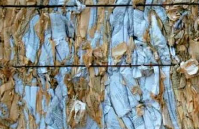 La VII Biennal d’Art Riudebitlles a la Sala dels Trinitaris