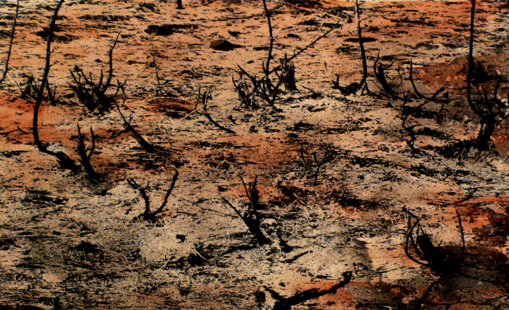 Assumpció Mateu presentarà \