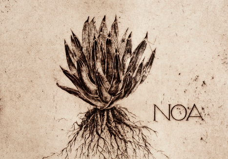 L\'obra gràfica de Román Eguía a l\'Institut de Mèxic