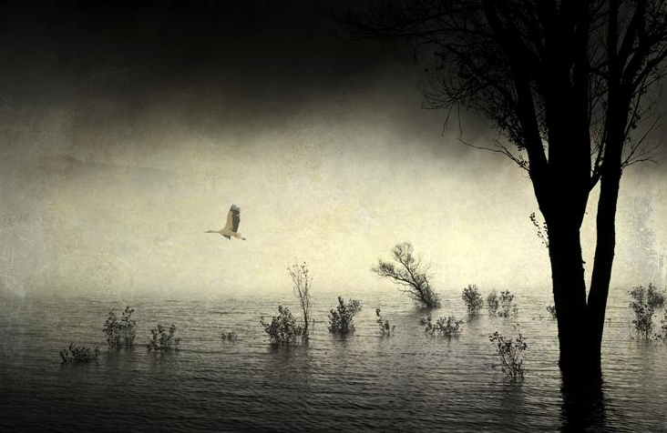 Fotografies de Luis M. Mencía a la Sala Gil Marraco