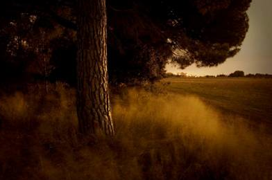 LaNew Gallery inaugura una exposició de Laguillo i Llonch