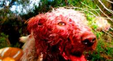 Fotografies de Ricardo Cases al FNAC