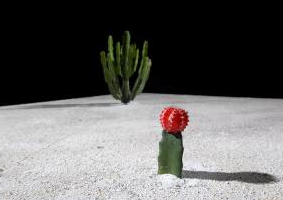 Escultures d\'Etienne Krähenbühl a la Galeria Joan Gaspar