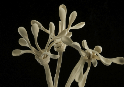 Jordi Marcet i Rosa Vila-Abadal al Saló de la Ceràmica d\'Art Contemporani