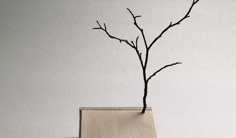 Elisa Torreira a la Galeria Serpente