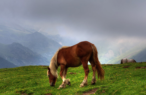 Una fotografia de vall de Núria, menció honorífica en el concurs \