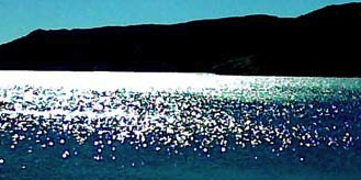 La Galeria Marges-U prepara \