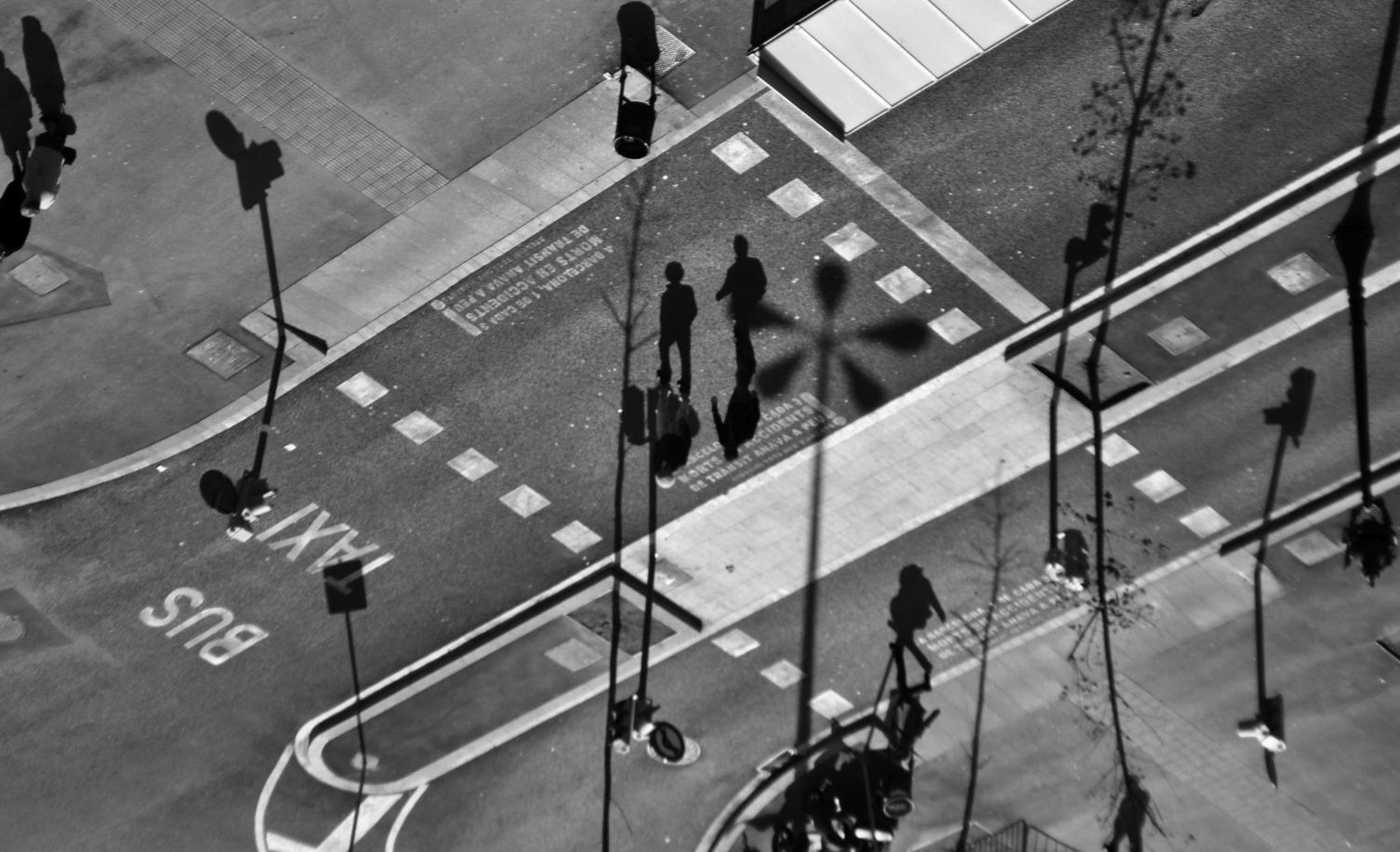 Col·lectiva dels alumnes de Fotoespai B.C.I.