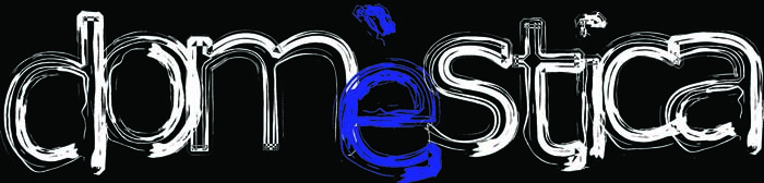 Tercera edició de Domèstica organitzada per l’Associació Ad’Art