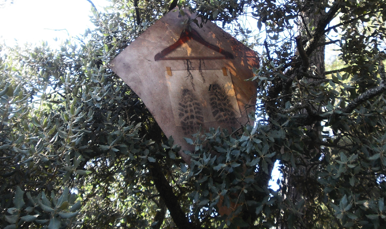 Rosa Gema i Marjan Eggels a CACiS