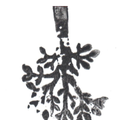 Velcha Velchev inaugura a la Galeria Matisos