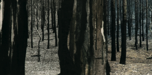 Assumpció Mateu presenta \