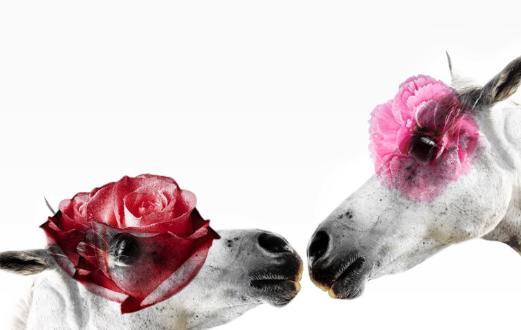 8Bis Estudio prepara \