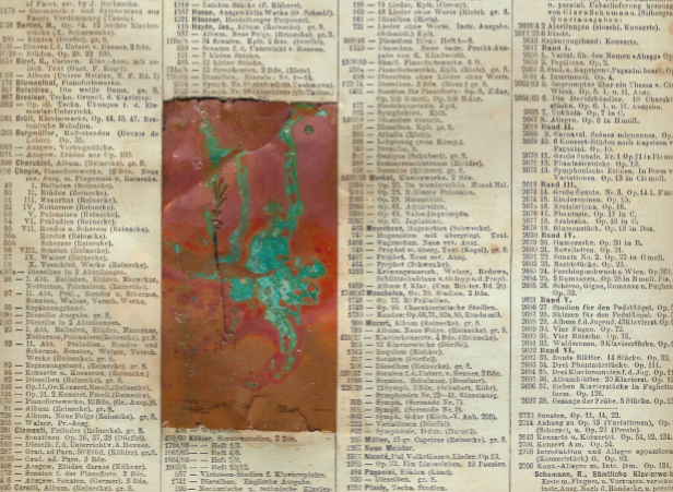 Stefan Cools exposa a Setba fins al 29 de juny