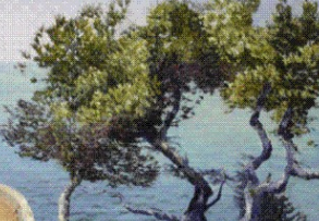 Rossend Pantinat exposa a Traç d\'Art de Sabadell