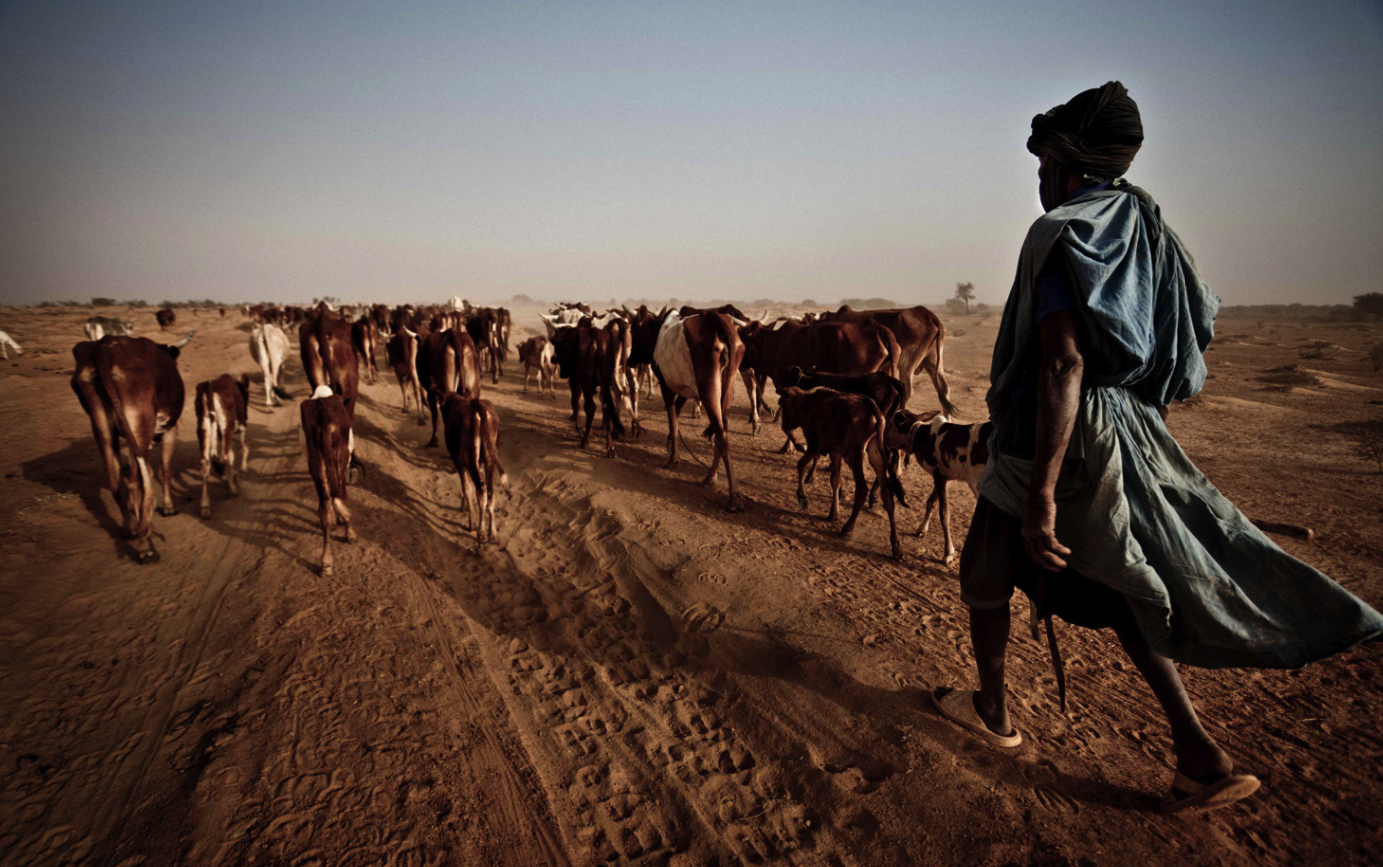 La fam a la Banya d\'Àfrica i al Sahel, en una exposició fotogràfica al Palau Robert