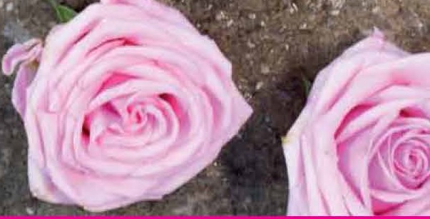 Projecció del documental \