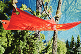 La Galeria Soledad Lorenzo participa a la Fira Internacional Hong Kong 12