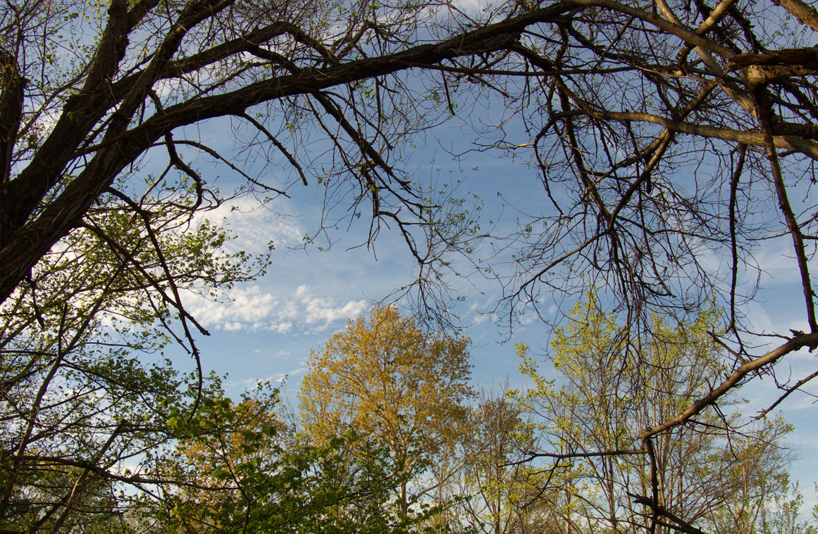 La Sala Pictograma inaugura \